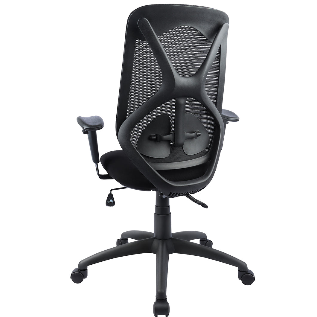 Mesh Executive Office Chair with Headrest, Adjustable Arms and Lumbar Support